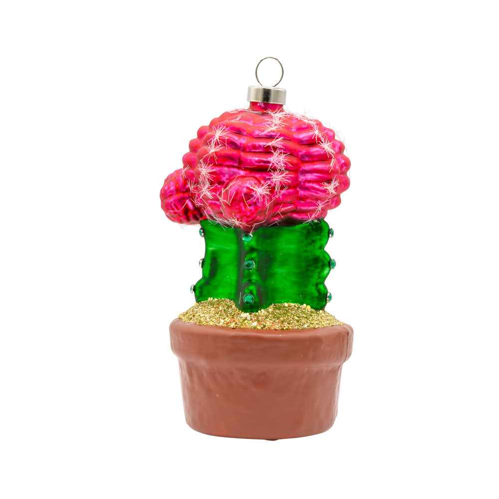 Desert Bloom Cactus