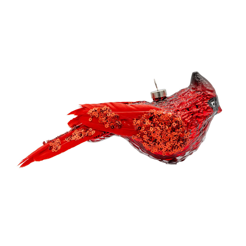 Feathered Cardinal