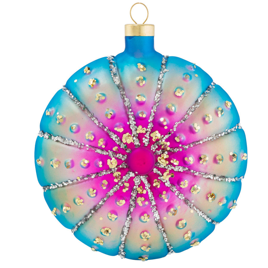 Glittering Urchin