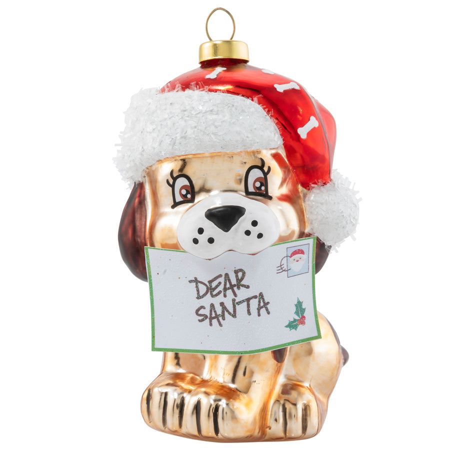 This sweet Santa-capped pup has a special delivery for the big guy up North!
