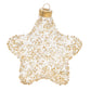 glass star ornament