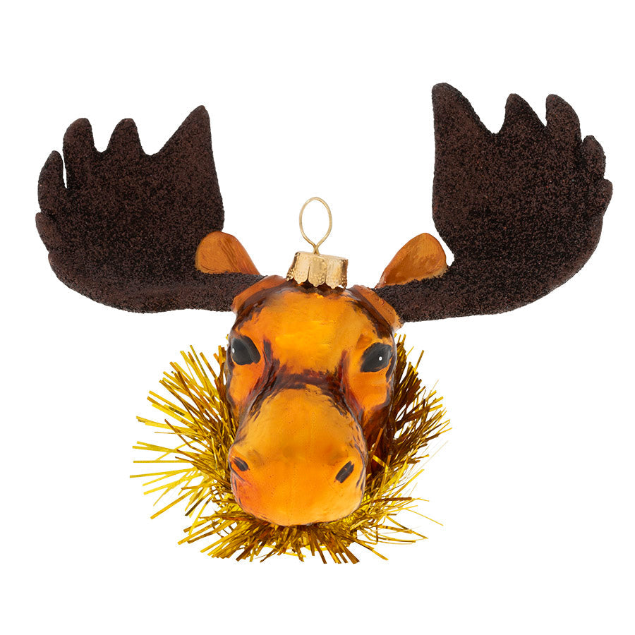 This is one Glamorous Moose. He's dressed and ready for this holiday season. 