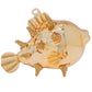 Gold Puffer Fish