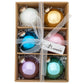 6 Count Iridescent Holiday