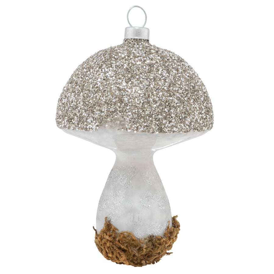 The glittering cap of this mysterious mushroom beautifully contrasts the soft and earthy moss of its forest floor.